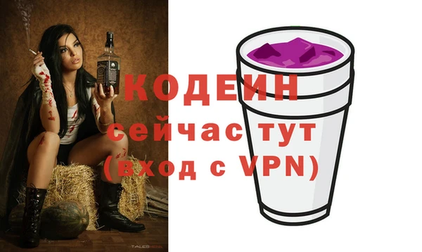 амф Вяземский