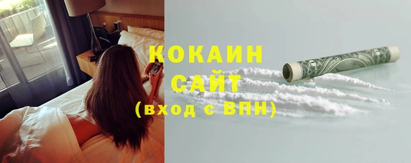 амф Вяземский