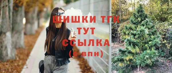 амф Вяземский