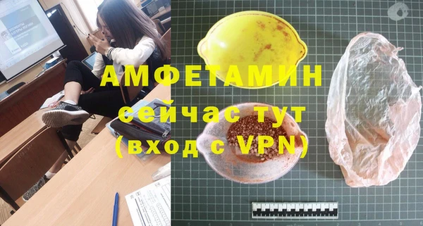 амф Вяземский