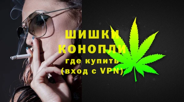 амф Вяземский