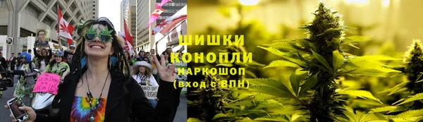 круглые Вязьма