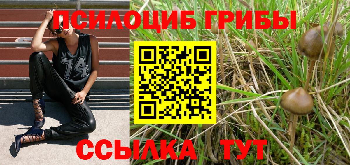 Карталы  Галлюциногенные грибы Psilocybe  Вход с VPN  Галлюциногенные грибы прущие грибы 